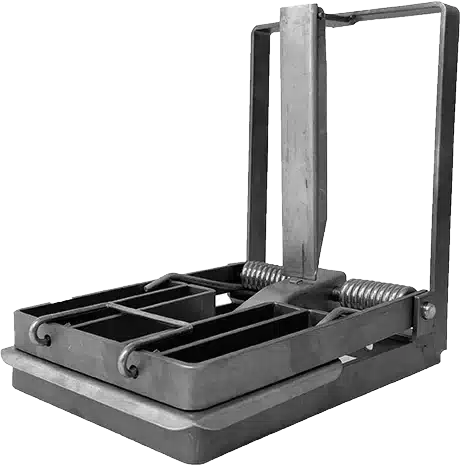 Bt150 weasel, rat and stoat trap nz Bt150 weasel, rat and stoat trap nz